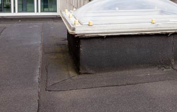 disadvantages of Pant Glas flat roofs