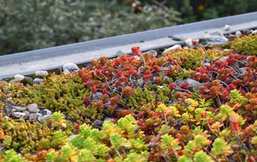 the cost of Pant Glas green roof installation