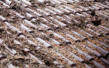 Pant Glas roof cleaning companies