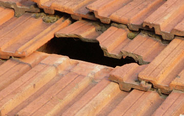 roof repair Pant Glas