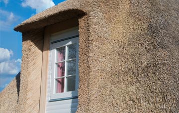 Pant Glas thatch roof disadvantages