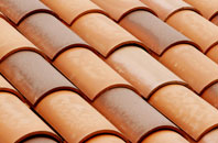 Pant Glas clay roofing