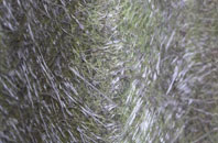 Pant Glas fibreglass roof work